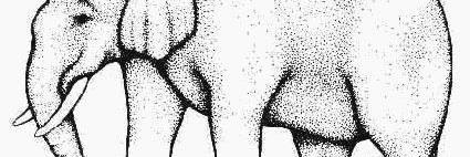 cholzy's profile banner image