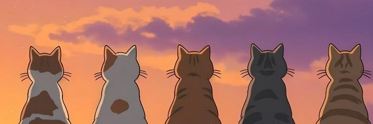 _cheeemeow_'s profile banner image