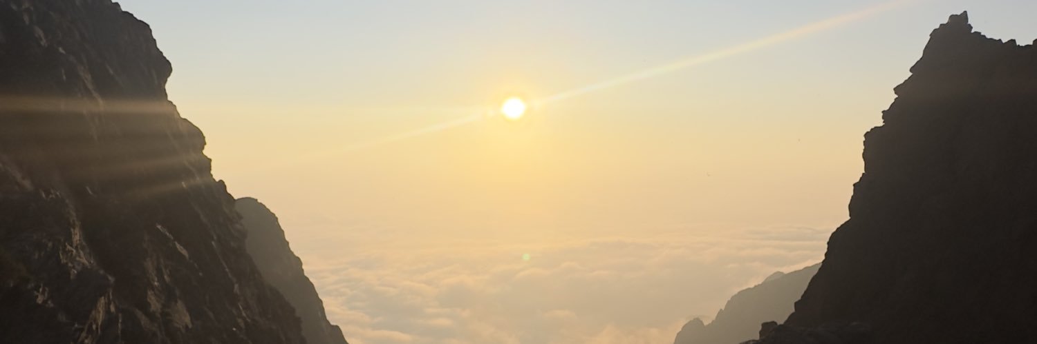 nol banner