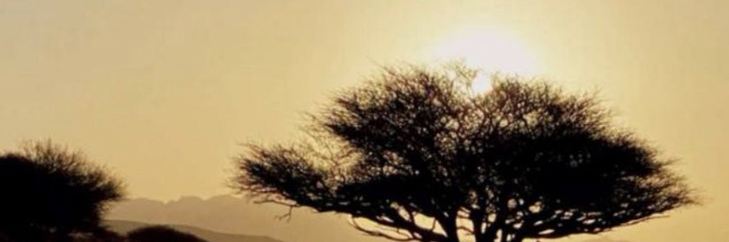 Rxkan1's profile banner image