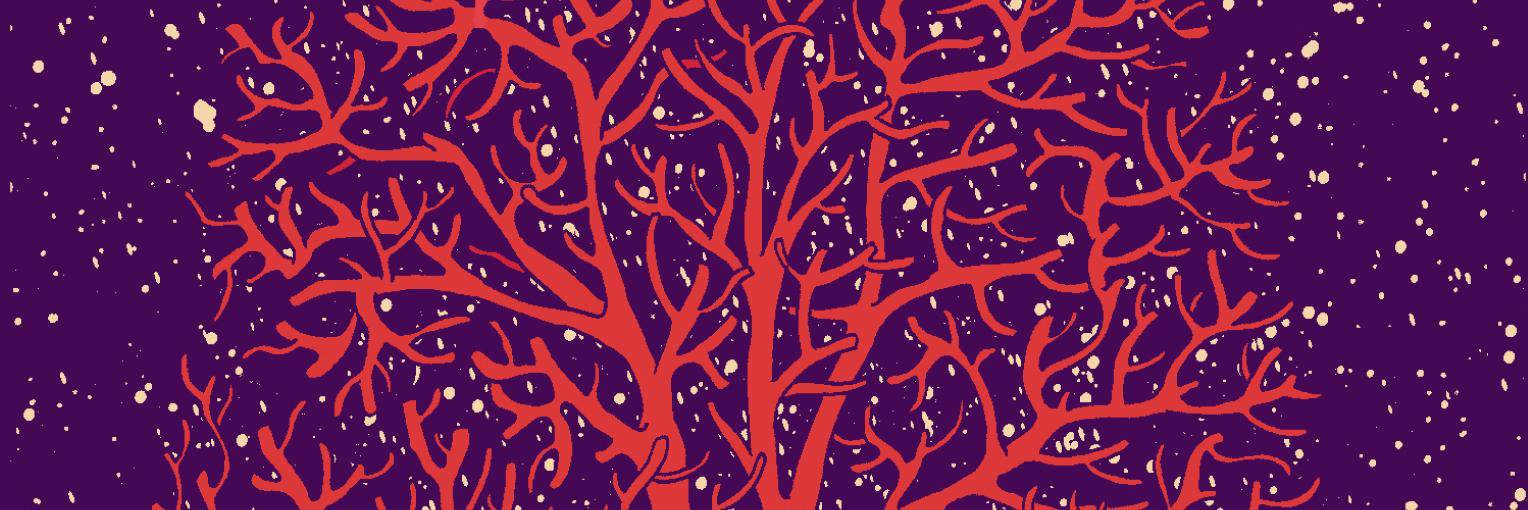 IleniaCicchetti's profile banner image