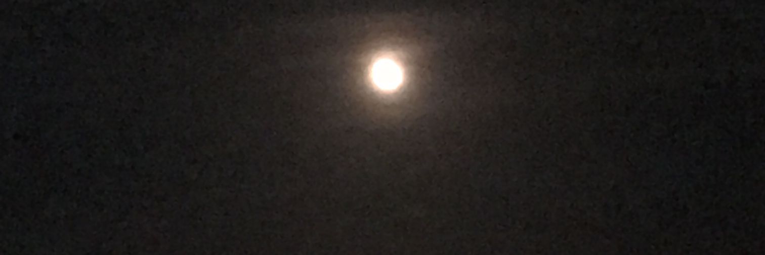 Manuel Gomicia banner