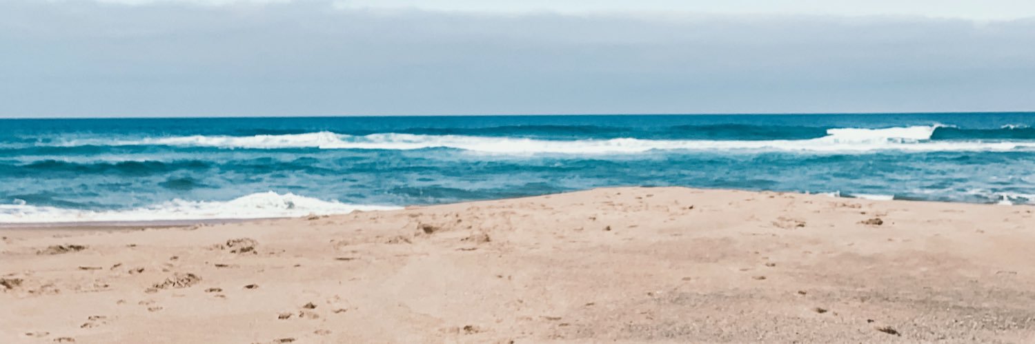 anamarceloo's profile banner image