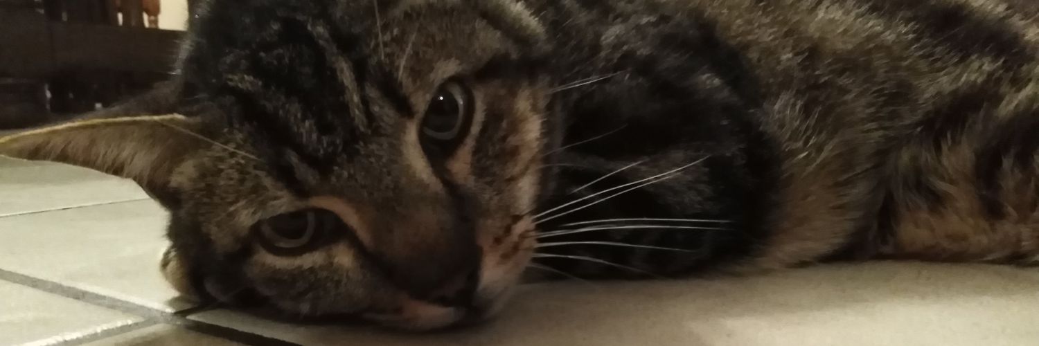 Myros59's profile banner image