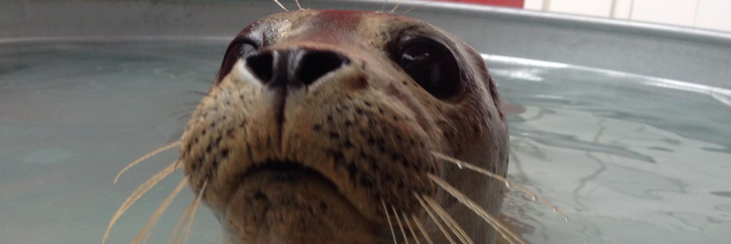 MalsI3's profile banner image