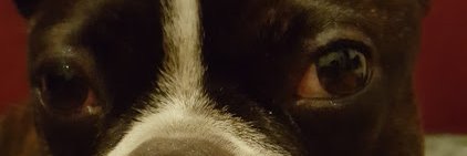 👑PHILIP RIVERS HOF👑🌿🐶🐱⚡⚡⚡ banner