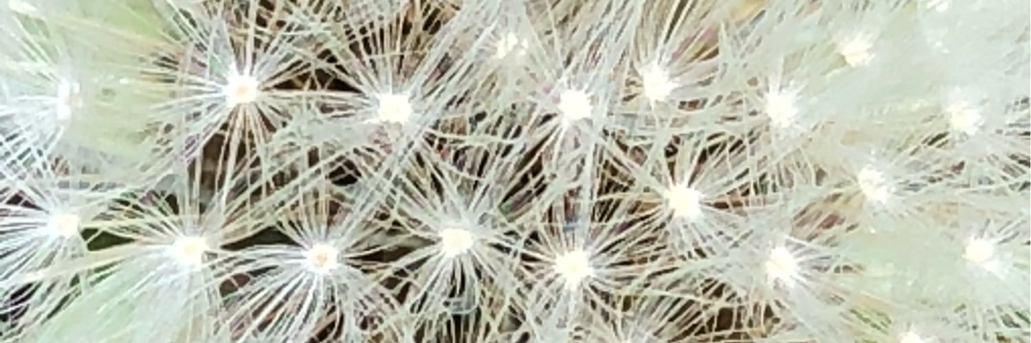 Wooburn Ianthe banner