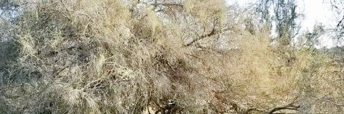 حمد الدرع banner