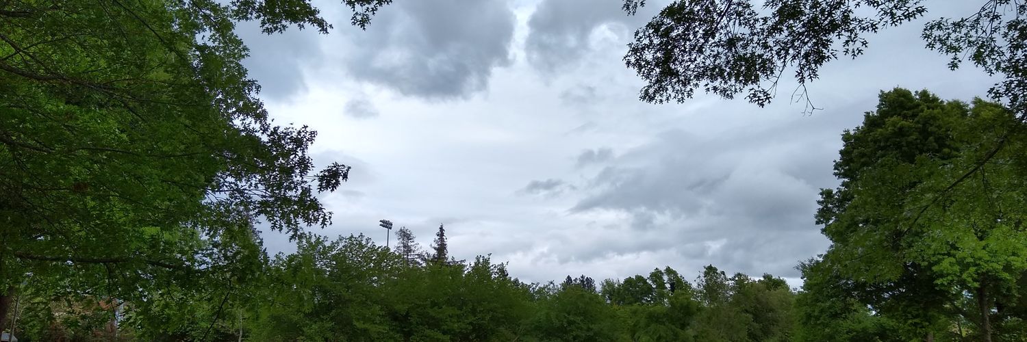 BrylonChu's profile banner image