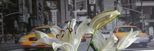 jusansome's profile banner image