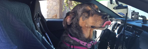 eLSeeD0 Profile Banner