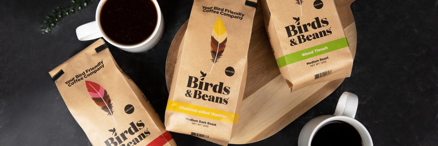 BirdsBeans's profile banner image