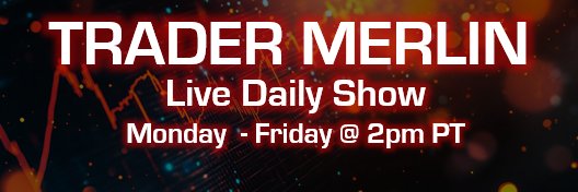 Merlin Rothfeld banner