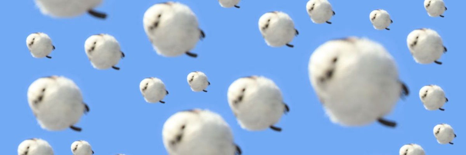 pd_fu's profile banner image