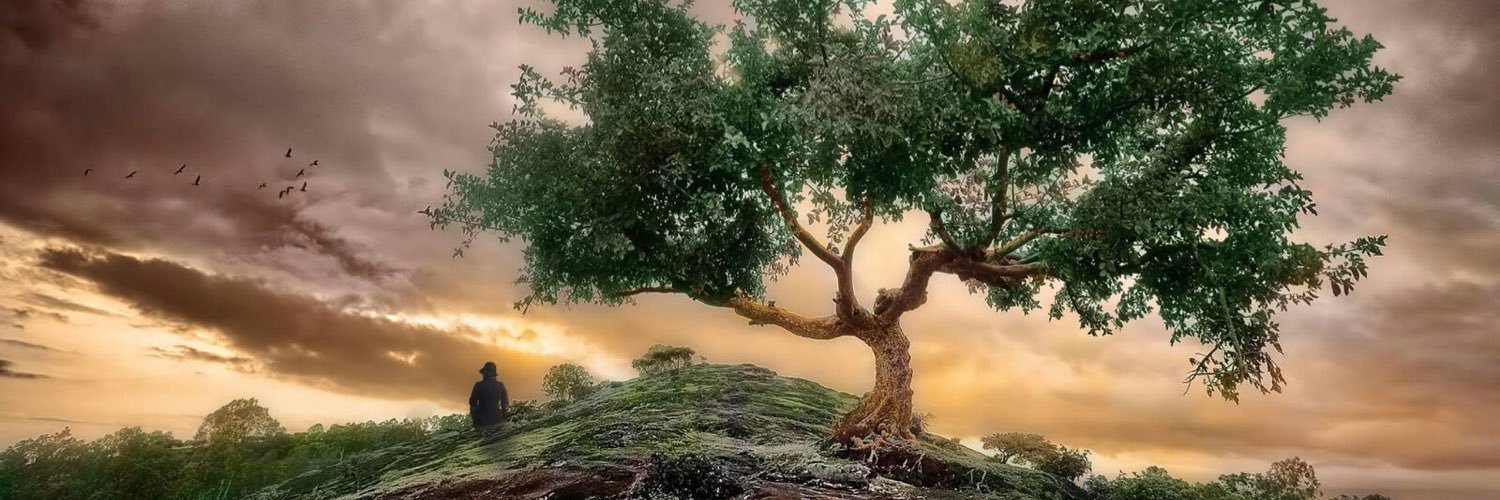 LocuoSPhotO's profile banner image