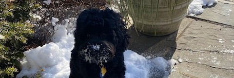 obrienedge's profile banner image