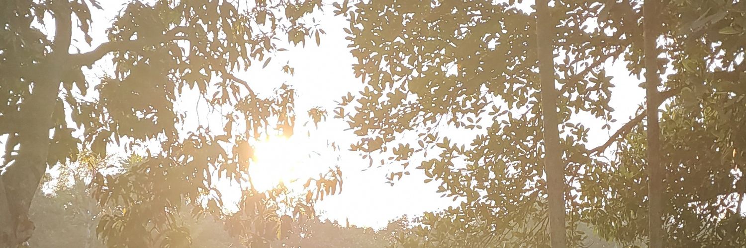 shayakghosh's profile banner image