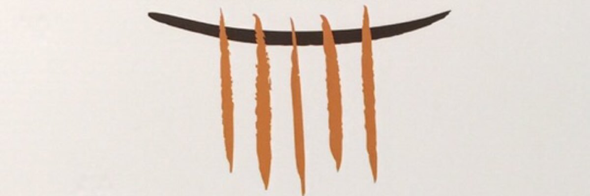 aurora_csl's profile banner image