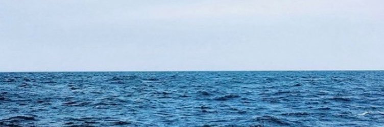 xmjk7's profile banner image