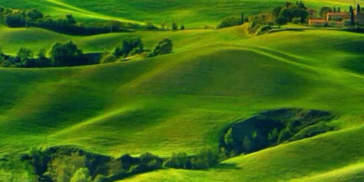 antdiavid's profile banner image