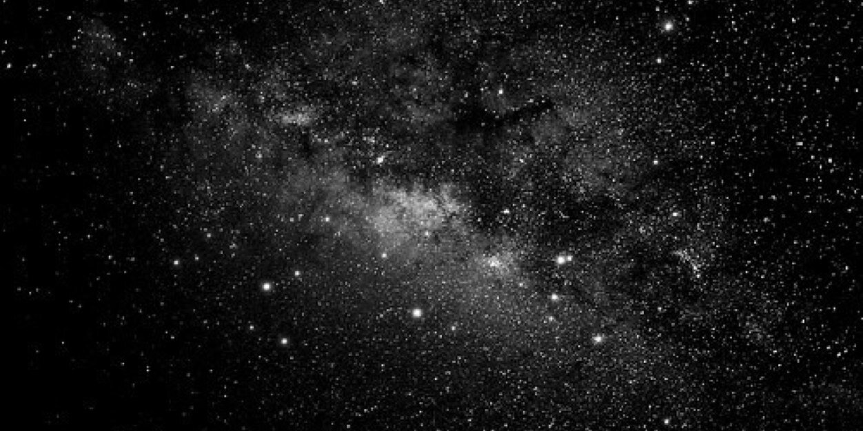 taylor_terrien's profile banner image
