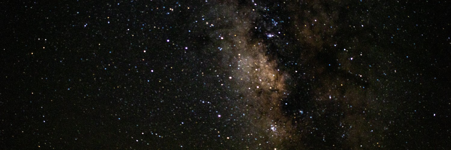 The Bearded Larry banner