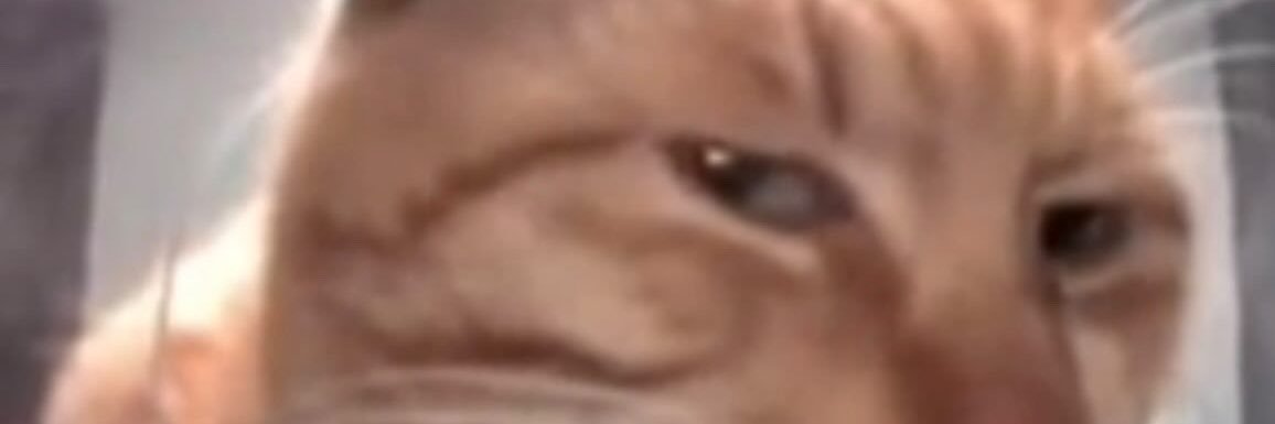 Ansvo__'s profile banner image