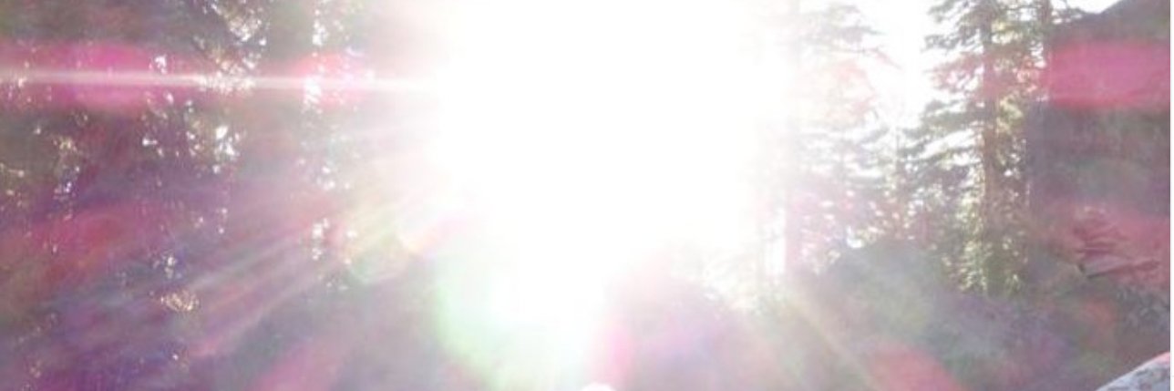 abjinia's profile banner image