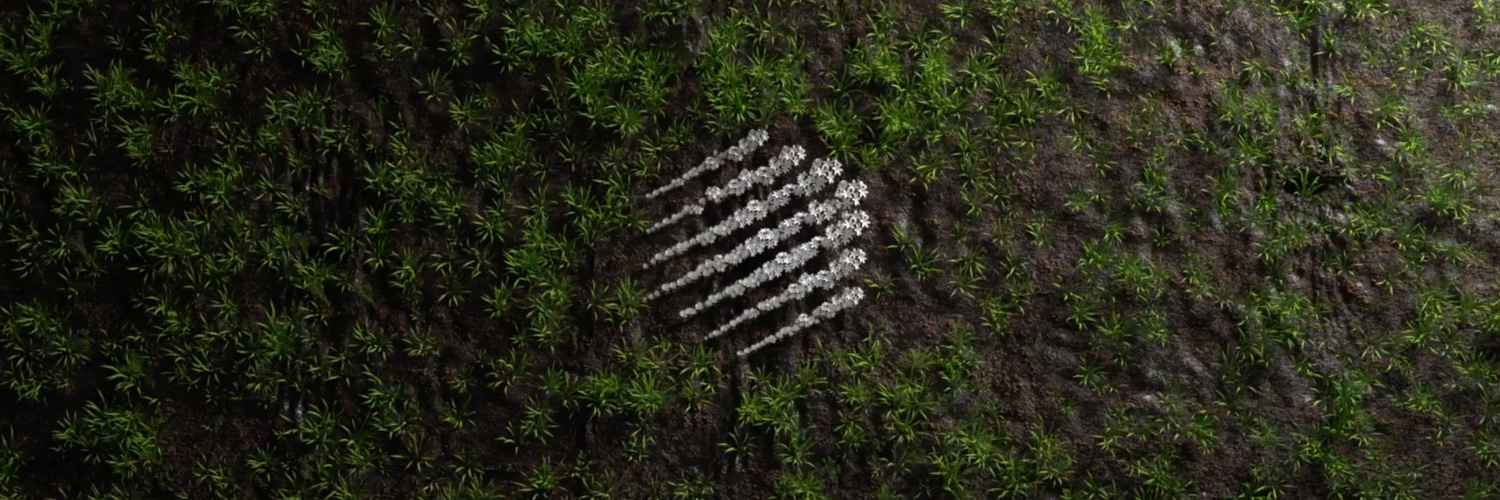 David Perkins banner