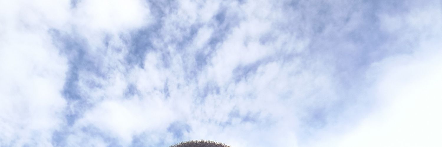 mat_tro5's profile banner image
