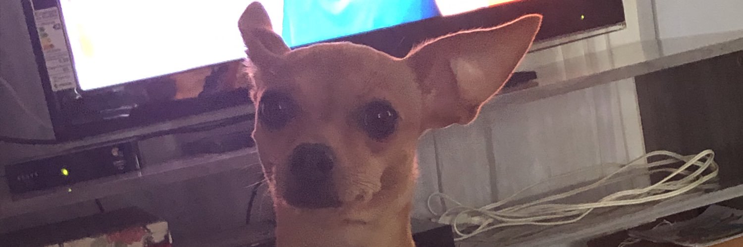DiPizzoni's profile banner image