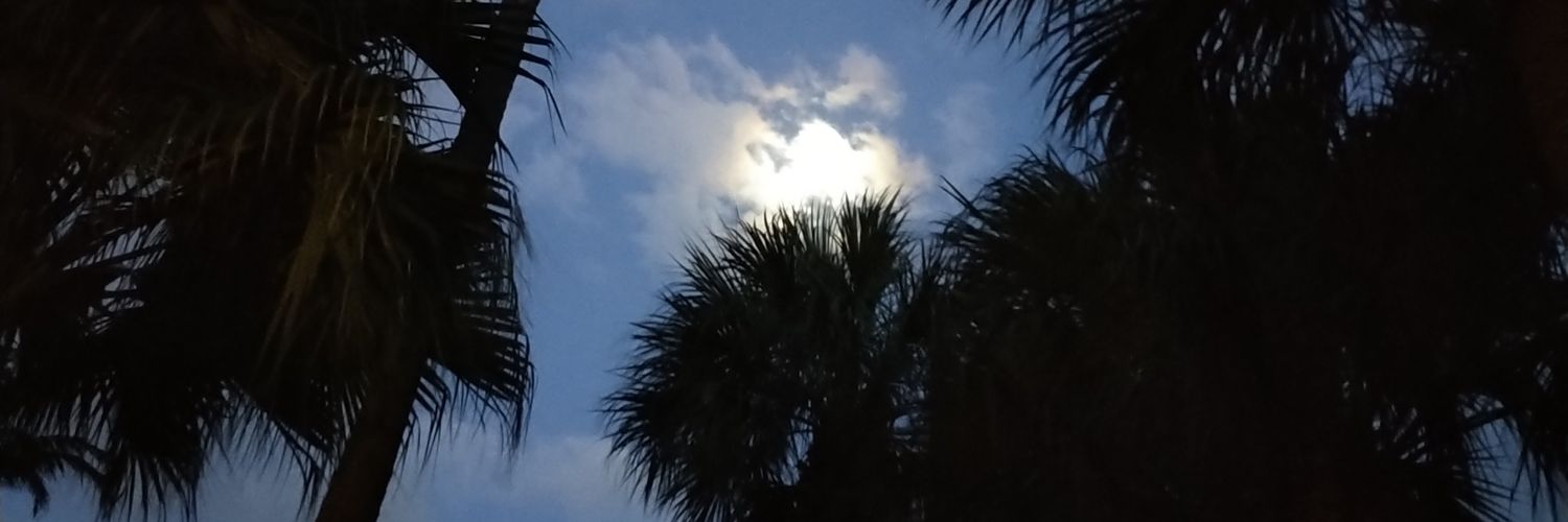 KamrynLucas's profile banner image