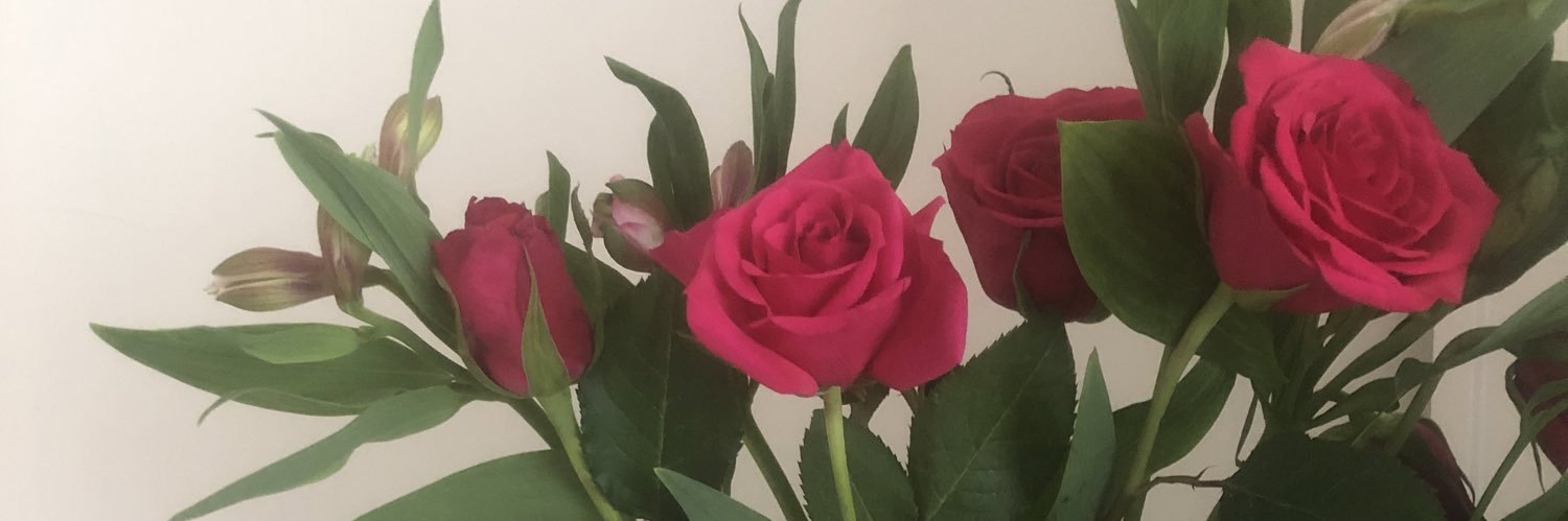 hollytopping_'s profile banner image