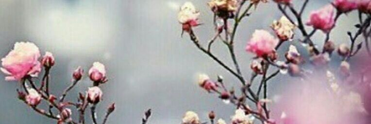 hend_6667's profile banner image