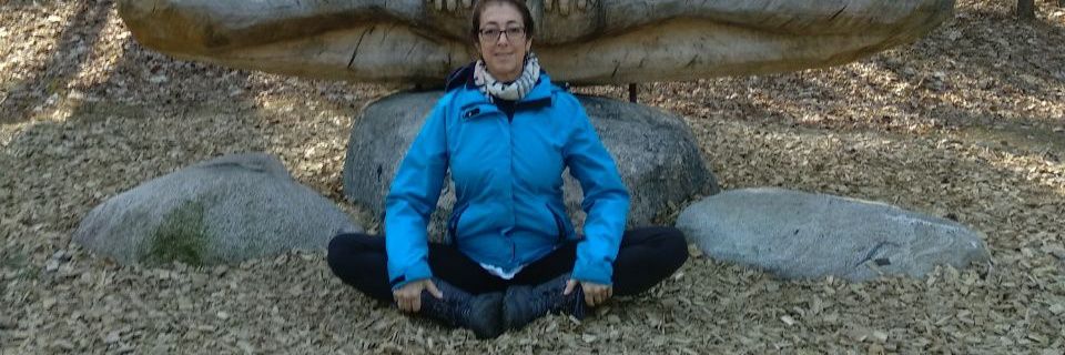 MarkowitzLisa's profile banner image