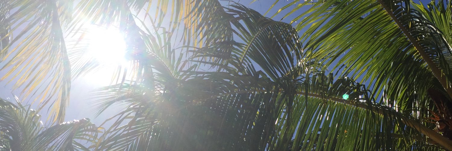 nxccz's profile banner image