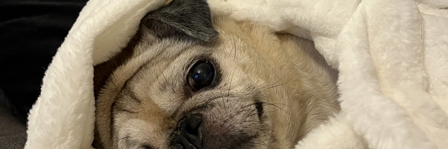 tia 🍒 banner