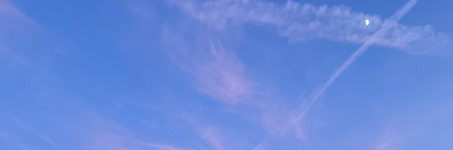 ines_guedes4's profile banner image