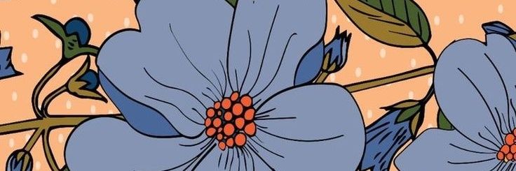 luacroza's profile banner image