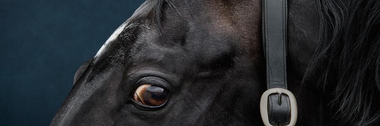 rachanstud's profile banner image