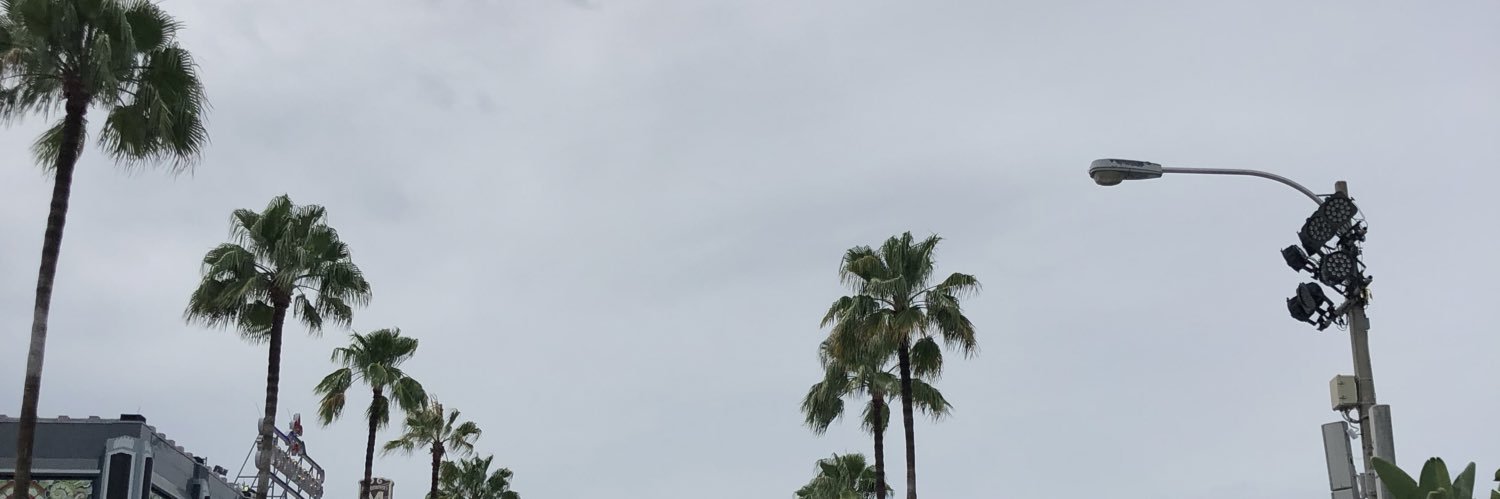 cassiefedora's profile banner image