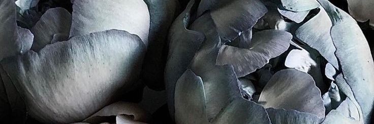 blinerauhl's profile banner image