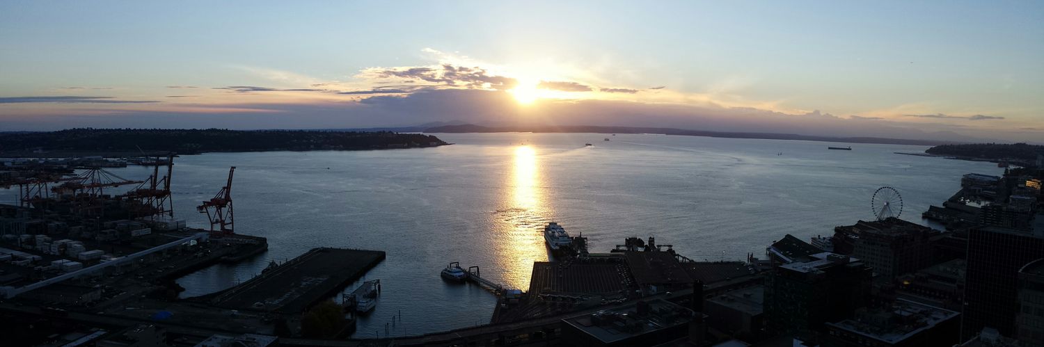 Elizabeth Liu banner