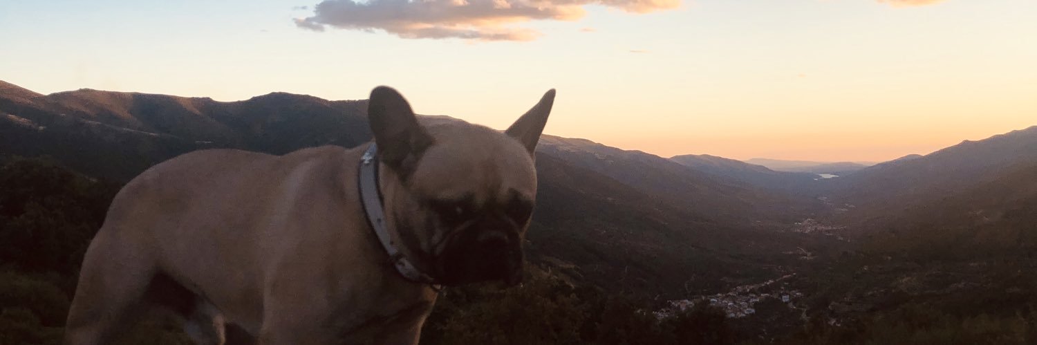 BeaSanchez23's profile banner image
