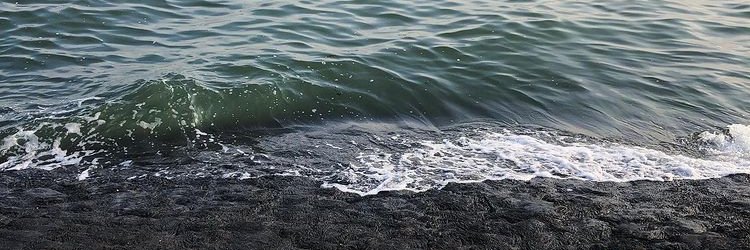 пэси banner
