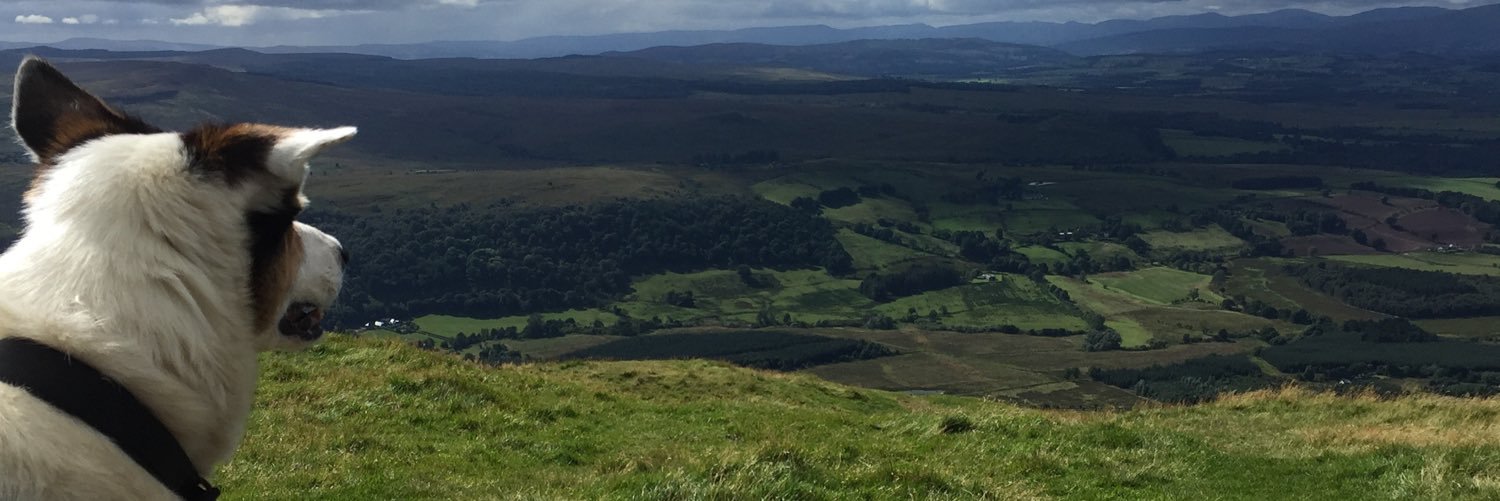 nevillelongbum's profile banner image