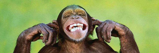 🦍 DucHH 🦍 banner