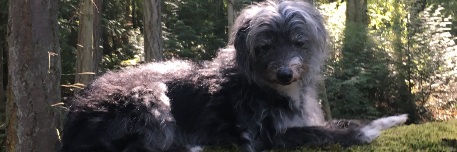huggyd's profile banner image