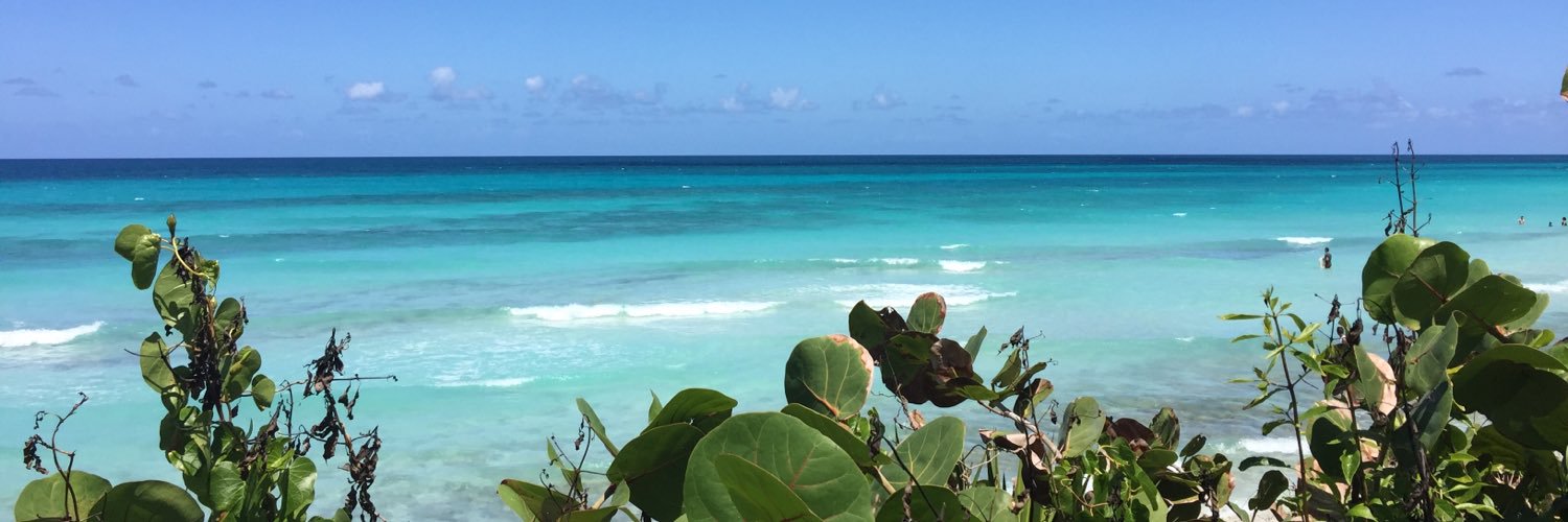 Rache_harris's profile banner image