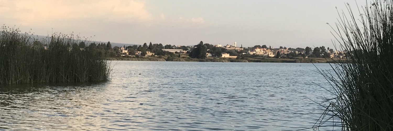 KaryRodriguezMJ's profile banner image